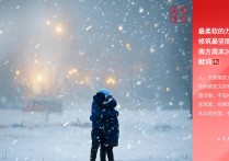 南周2026新年献词：最柔软的力量，也能修筑最坚固的人间